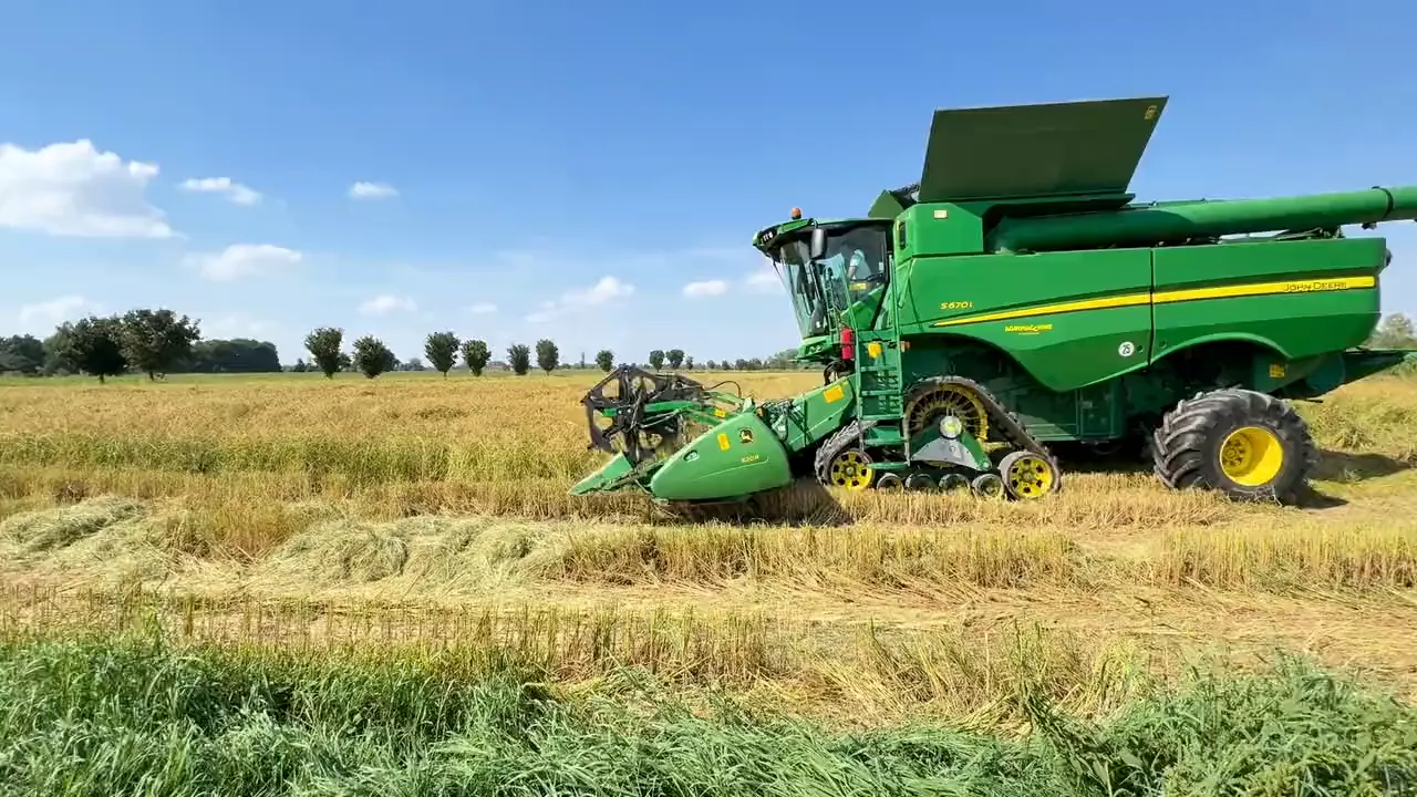 La mietitrebbia raccoglie il Carnaroli nei campi della cascina, primo fotogramma del video
